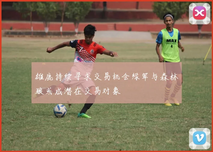 雄鹿持续寻求交易机会绿军与森林狼或成潜在交易对象