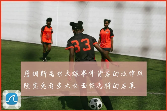 詹姆斯高尔夫球事件背后的法律风险究竟有多大会面临怎样的后果