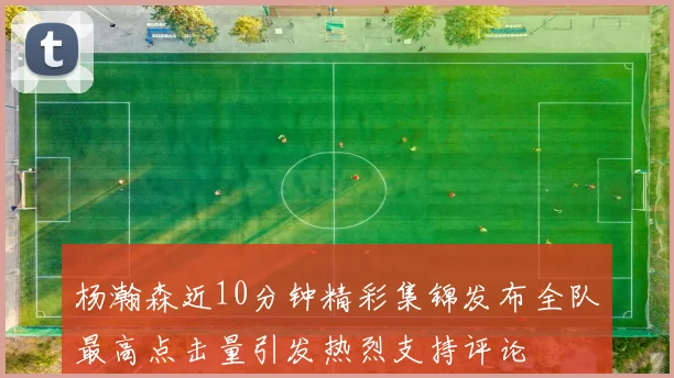 杨瀚森近10分钟精彩集锦发布全队最高点击量引发热烈支持评论