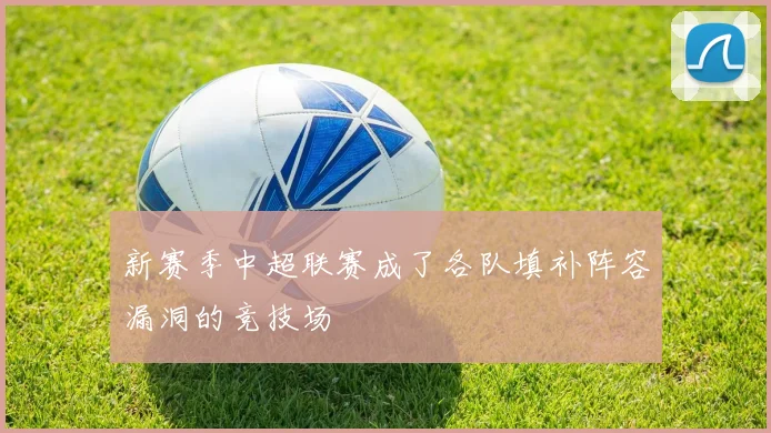 新赛季中超联赛成了各队填补阵容漏洞的竞技场
